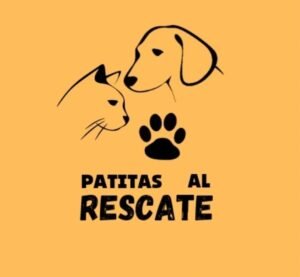 Maltrato animal